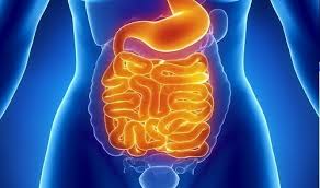 remedios para limpiar el colon