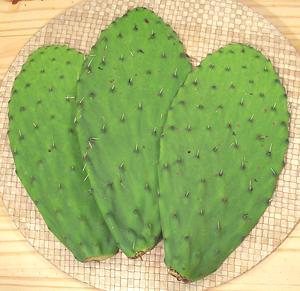 remedios nopales