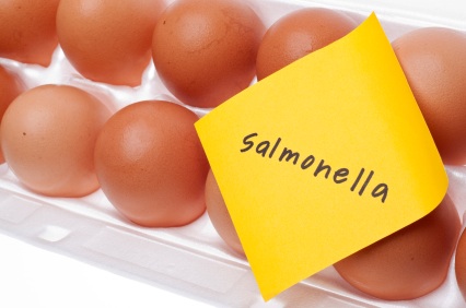 remedios salmonella