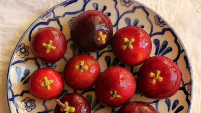 kokum