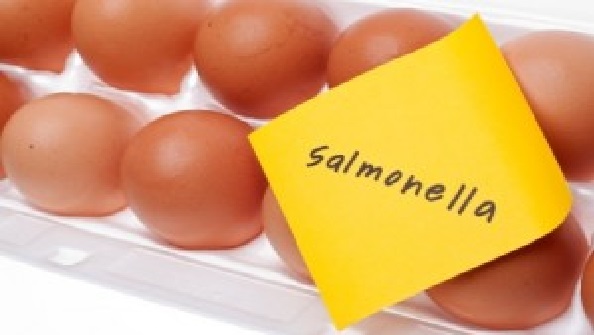 remedios para la salmonella