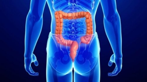 remedios cancer anal