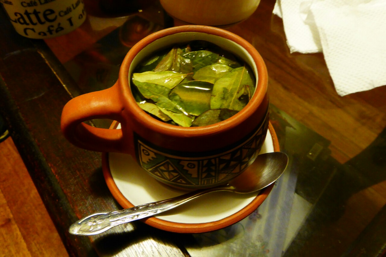 infusiones para el estreñimiento crónico