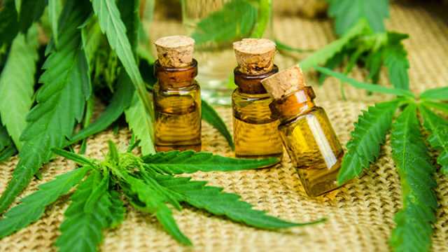 Aceite Esencial De Cannabis Beneficios Y Contraindicaciones 2025