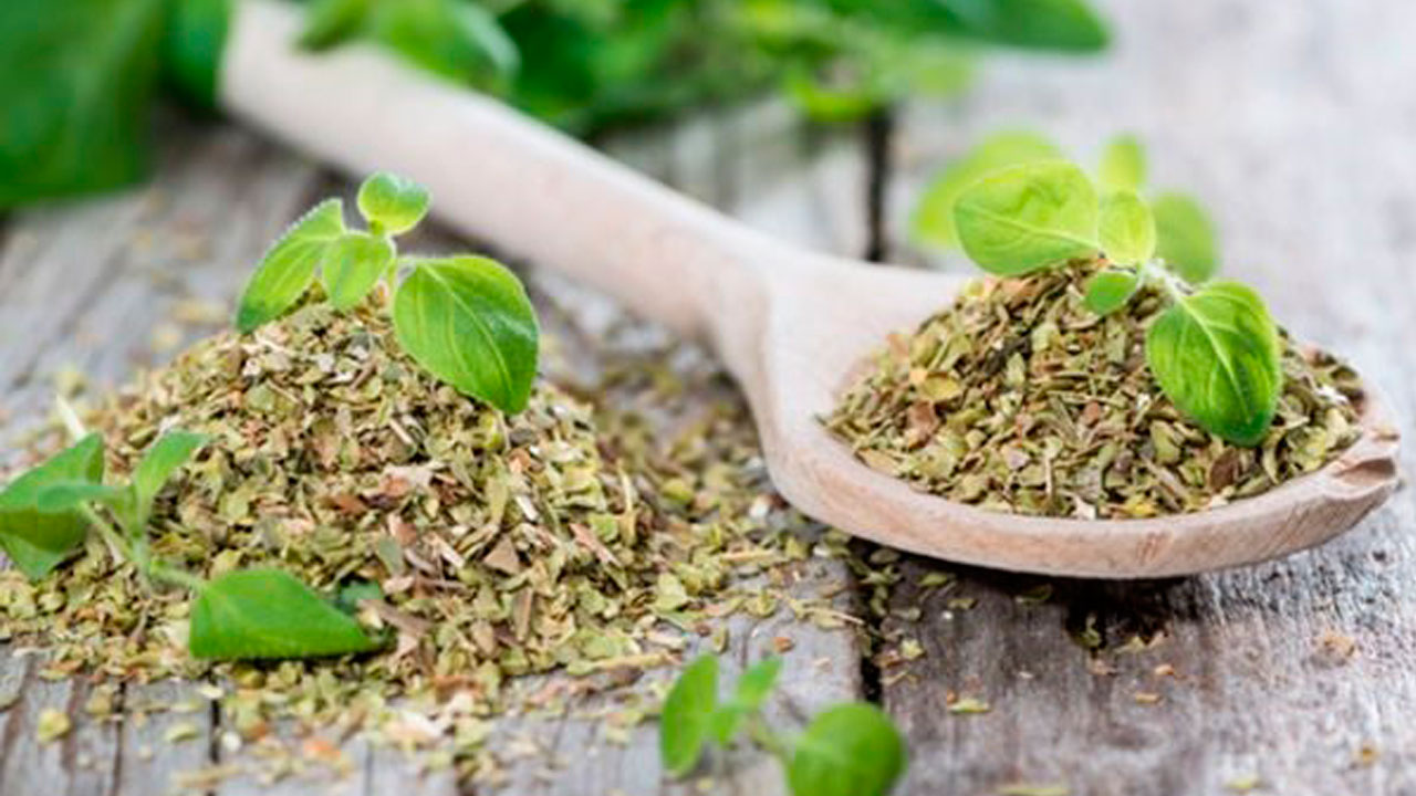oregano