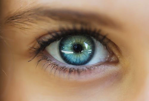 remedios abrasion corneal
