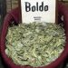 Boldo: Beneficios y contraindicaciones