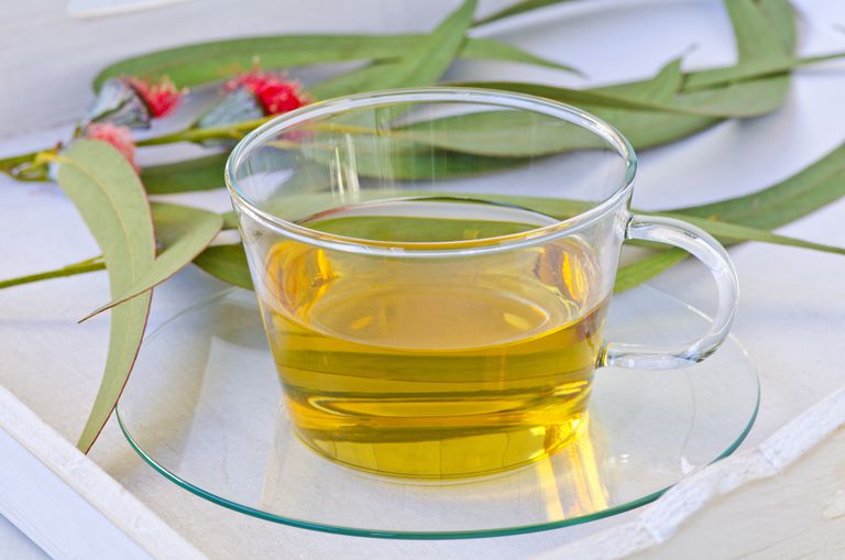 infusión de eucallipto