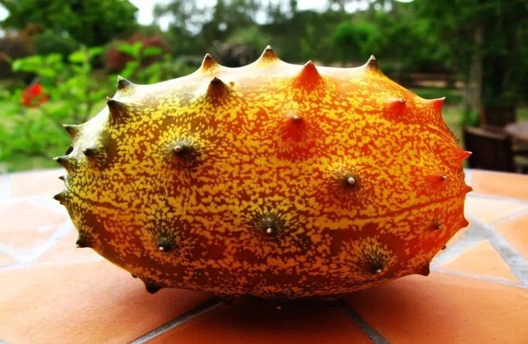 melon con cuernos