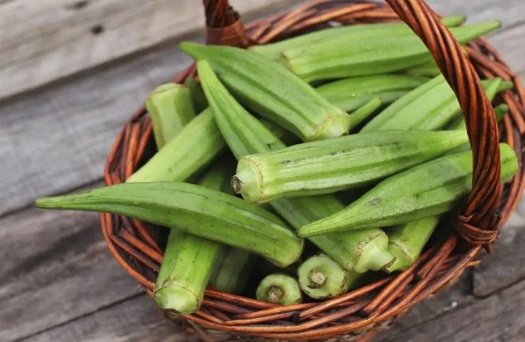 contraindicaciones de la okra